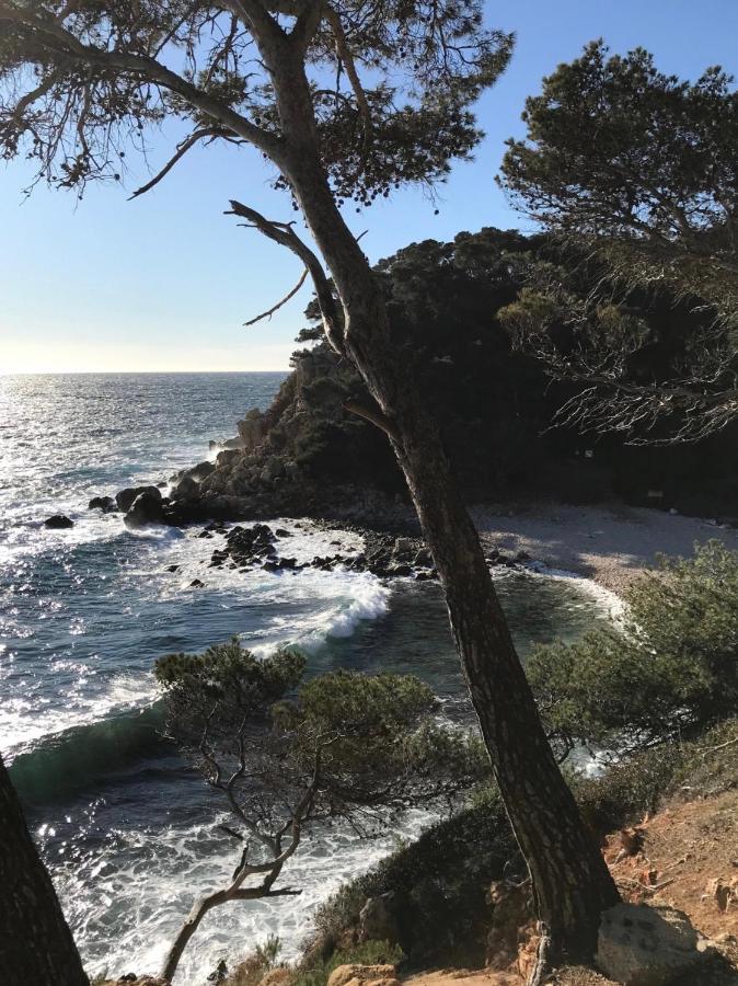 Villa Lucienne Bandol , T2 4 Etoiles Avec Garage, Dans Les Calanques Buitenkant foto